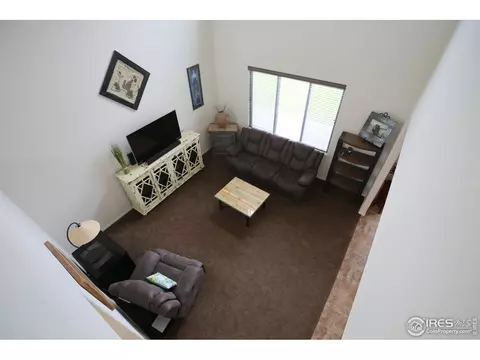 867 Lakebrook Ct, Windsor, CO 80550 photo 9