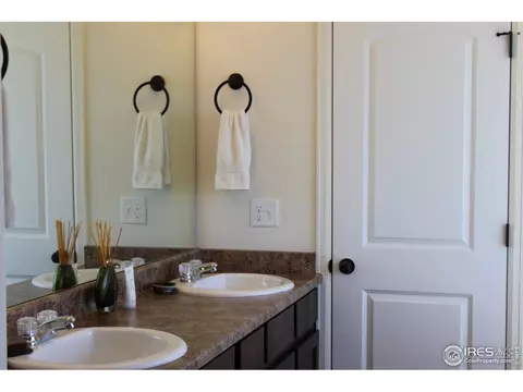 867 Lakebrook Ct, Windsor, CO 80550 photo 28