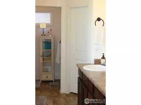 867 Lakebrook Ct, Windsor, CO 80550 photo 27
