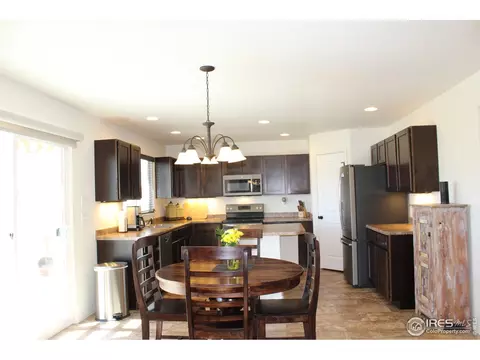 867 Lakebrook Ct, Windsor, CO 80550 photo 13