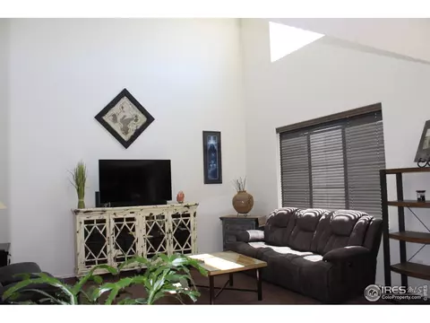 867 Lakebrook Ct, Windsor, CO 80550 photo 8