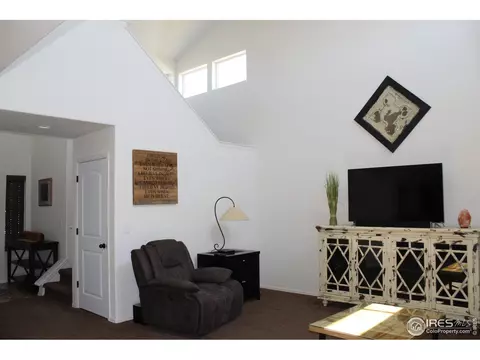 867 Lakebrook Ct, Windsor, CO 80550 photo 31