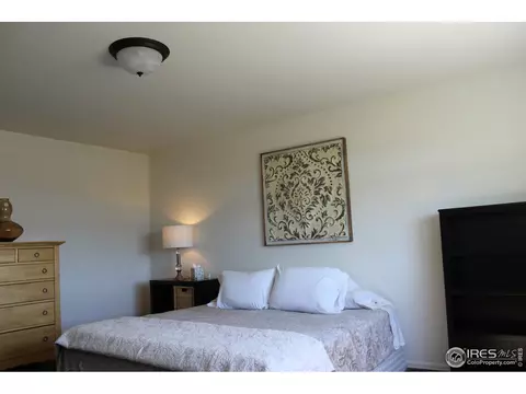 867 Lakebrook Ct, Windsor, CO 80550 photo 24