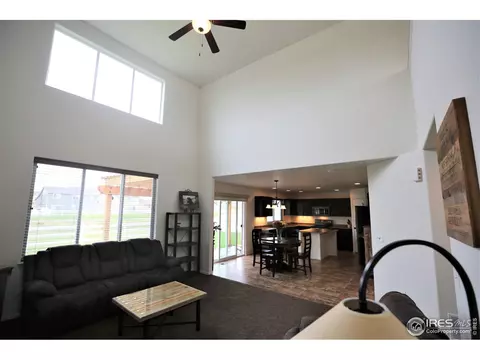 867 Lakebrook Ct, Windsor, CO 80550 photo 5