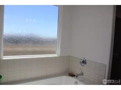 867 Lakebrook Ct, Windsor, CO 80550 photo 29