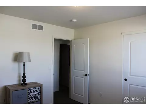 867 Lakebrook Ct, Windsor, CO 80550 photo 20
