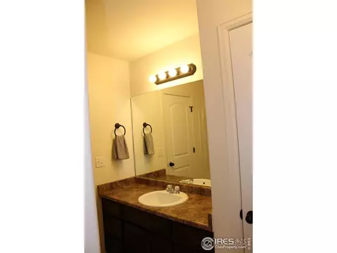867 Lakebrook Ct, Windsor, CO 80550 photo 23