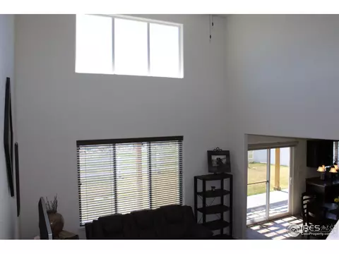 867 Lakebrook Ct, Windsor, CO 80550 photo 32
