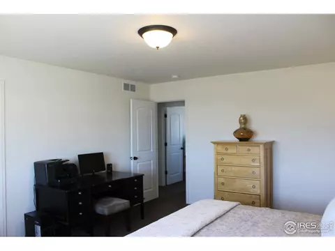867 Lakebrook Ct, Windsor, CO 80550 photo 25