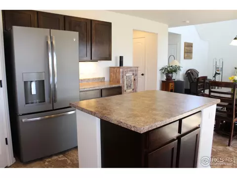 867 Lakebrook Ct, Windsor, CO 80550 photo 15