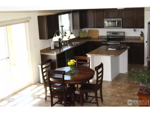 867 Lakebrook Ct, Windsor, CO 80550 photo 18