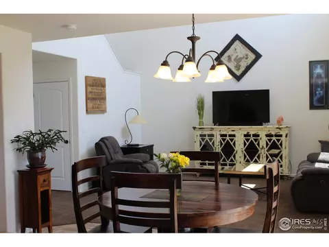867 Lakebrook Ct, Windsor, CO 80550 photo 33