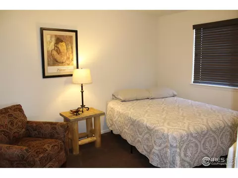 867 Lakebrook Ct, Windsor, CO 80550 photo 21