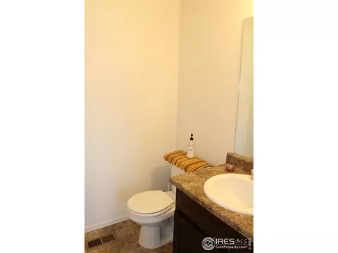 867 Lakebrook Ct, Windsor, CO 80550 photo 19