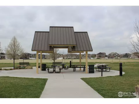 867 Lakebrook Ct, Windsor, CO 80550 photo 37