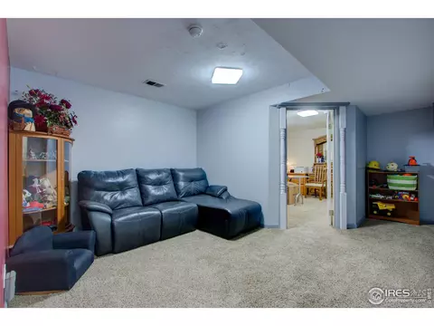 1160 Hemlock Dr, Windsor, CO 80550 photo 23