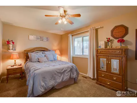 1160 Hemlock Dr, Windsor, CO 80550 photo 17