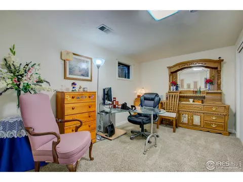 1160 Hemlock Dr, Windsor, CO 80550 photo 28