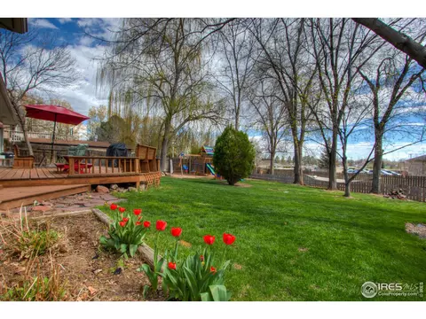 1160 Hemlock Dr, Windsor, CO 80550 photo 37