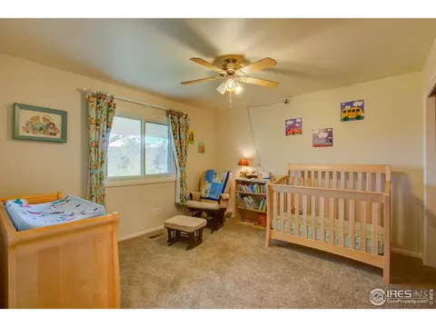 1160 Hemlock Dr, Windsor, CO 80550 photo 18