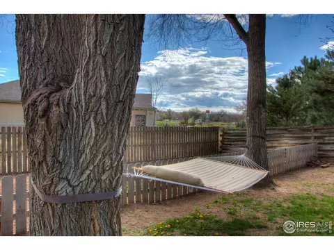 1160 Hemlock Dr, Windsor, CO 80550 photo 36