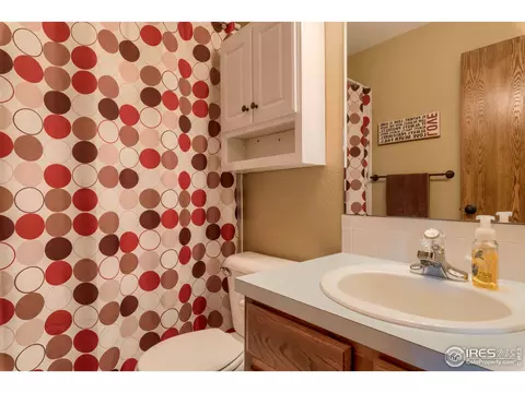 220 Rochester Dr, Windsor, CO 80550 photo 16