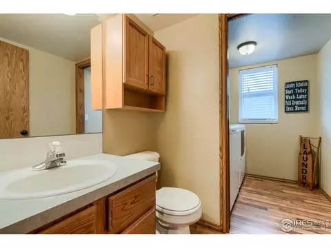 220 Rochester Dr, Windsor, CO 80550 photo 10