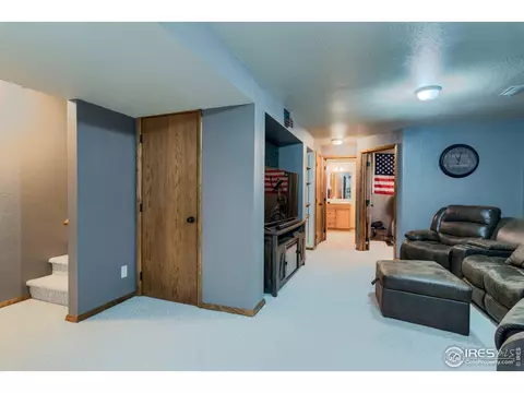 220 Rochester Dr, Windsor, CO 80550 photo 19