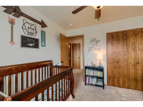 220 Rochester Dr, Windsor, CO 80550 photo 18