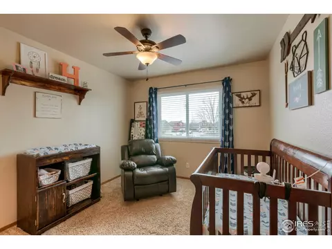 220 Rochester Dr, Windsor, CO 80550 photo 17