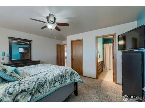 220 Rochester Dr, Windsor, CO 80550 photo 12