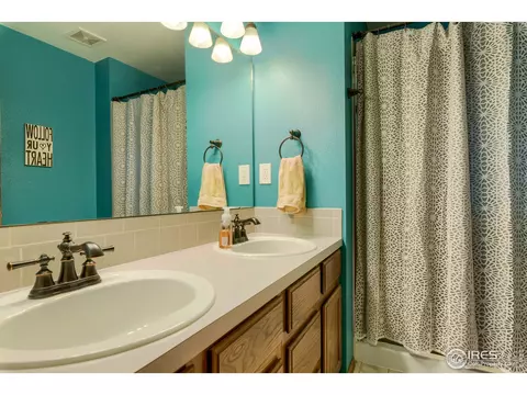 220 Rochester Dr, Windsor, CO 80550 photo 13