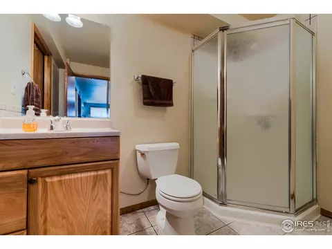 220 Rochester Dr, Windsor, CO 80550 photo 23