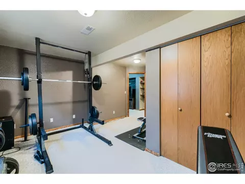 220 Rochester Dr, Windsor, CO 80550 photo 21