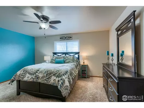 220 Rochester Dr, Windsor, CO 80550 photo 11
