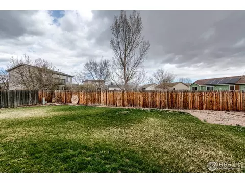 220 Rochester Dr, Windsor, CO 80550 photo 25