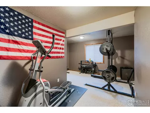 220 Rochester Dr, Windsor, CO 80550 photo 22