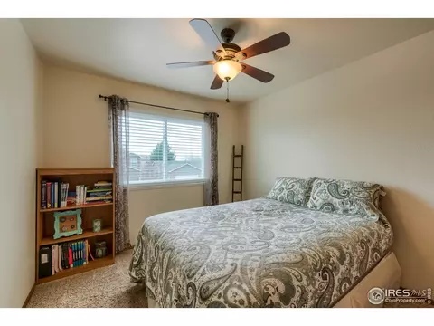 220 Rochester Dr, Windsor, CO 80550 photo 14