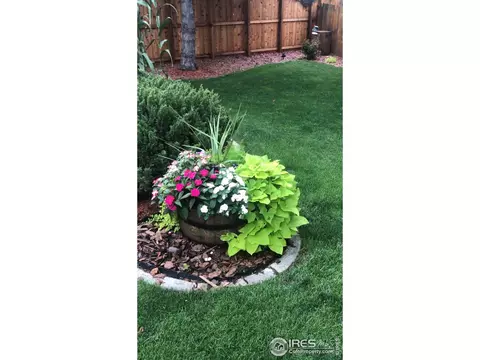 2433 Mapleton Cir, Longmont, CO 80503 photo 39