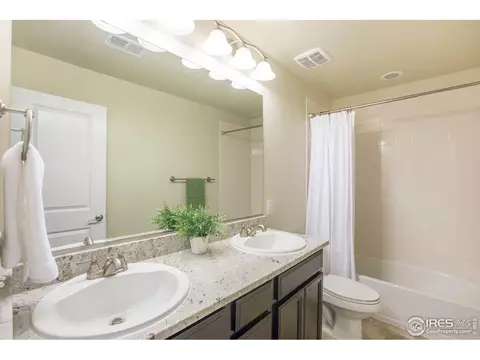 6749 Spring Rain Rd, Timnath, CO 80547 photo 27