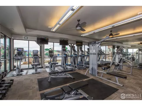 6749 Spring Rain Rd, Timnath, CO 80547 photo 40