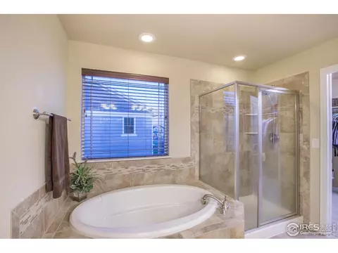 6749 Spring Rain Rd, Timnath, CO 80547 photo 23