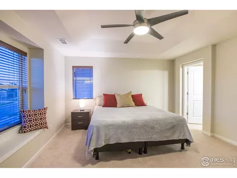 6749 Spring Rain Rd, Timnath, CO 80547 photo 21