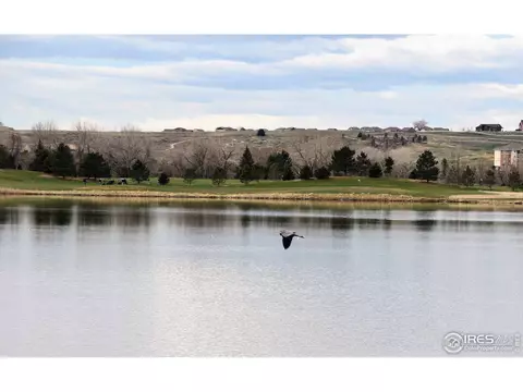 1525 Waterfront Dr, Windsor, CO 80550 photo 36