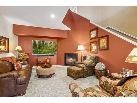 16541 Red Cliff Cir, Morrison, CO 80465 photo 22