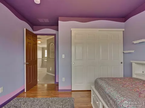 11325 Columbine St, Firestone, CO 80504 photo 22
