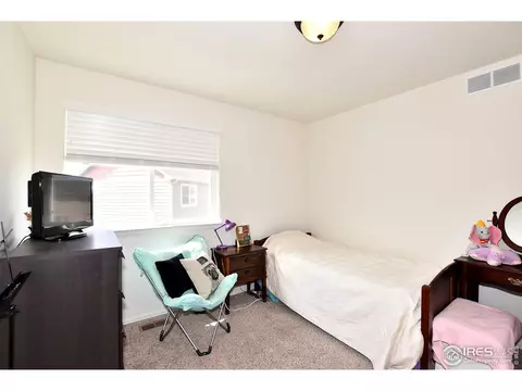 575 Cherryridge Dr, Windsor, CO 80550 photo 20