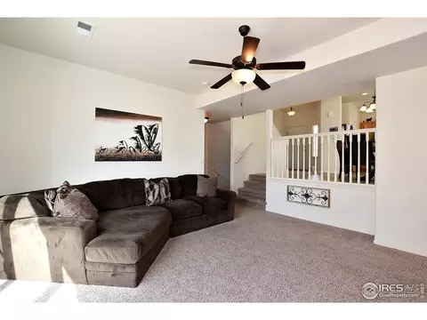 575 Cherryridge Dr, Windsor, CO 80550 photo 24