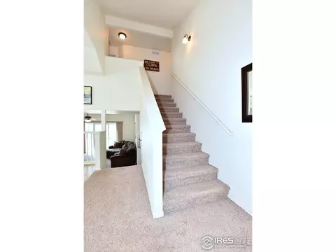 575 Cherryridge Dr, Windsor, CO 80550 photo 12