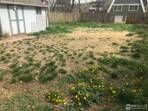 113 Park St, Lyons, CO 80540 photo 16